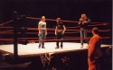 Working the crowd at WWE Toronto